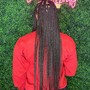 Medium Single Box Braids