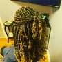 Crochet Braids with Hair Included