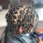 Loc Coils starter locs