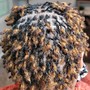 Sisterlocks/Microlocs 6 weeks retie