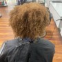 Root Touch Up