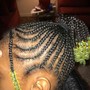 Adult Feed In Braids