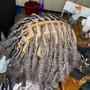 Loc Extensions/ Reattachment 20-49 locs