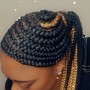 Small Box Braids waist  length