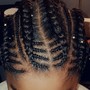 Small Butterfly Locs mid-back length