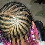 Small Box Braids waist  length