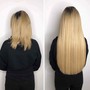 Micro link and  Extensions