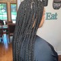 Shirley Temple (Short) Knotless Box Braids