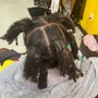 Kid's Wash, retwist & ropes