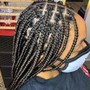 Box Braids smalll