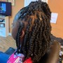 Mini Twists