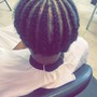 Two Strand Twist