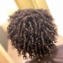 Comb Twist/Coil Twist