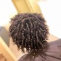 Comb Twist/Coil Twist