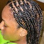 Feathers  Braids: short