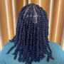 Two Strand Twists (Wet)