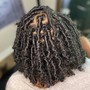 Loc Maintenance(shoulder length to mid back)