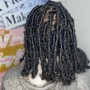 Starter Locs