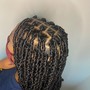 Mid back length Passion Twist