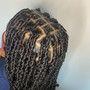 Mid back length Passion Twist