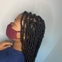 Mid-thigh Senegalese Twist