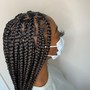 Mid back length Passion Twist