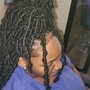 Adult Starter locs