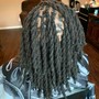 Mini Starter Locs