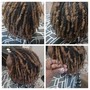 Root Touch Up