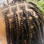 Loc retwist