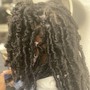 Loc retwist