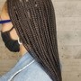 braids with human hair on the ends