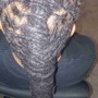 Loc Re-twist With Style