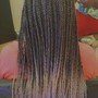 Starter Locs