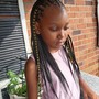 Box Braids ( prices vary based on size /length$