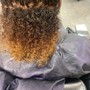 Root Touch Up