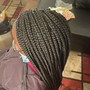 Knotless/ Box Braidz (up to Butt length)