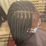 Small Box Braidz (up to mid back length)