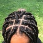 Kinky Twist/Passion Twist