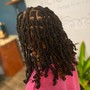 Instant locs standard size (less than 8 inches of hair)