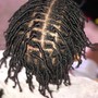 Starter Locs