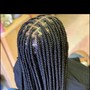 Medium Box Braids