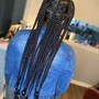 Design Stitch Braids (6-8)