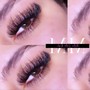 Volume Eyelash Fill