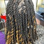 Starter locs short