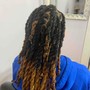 First 6 Week Loc Extension Maintenance