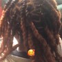 Starter Locs