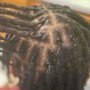 Starter locs