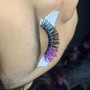 False Lashes