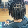 Starter Locs comb twist/ coils